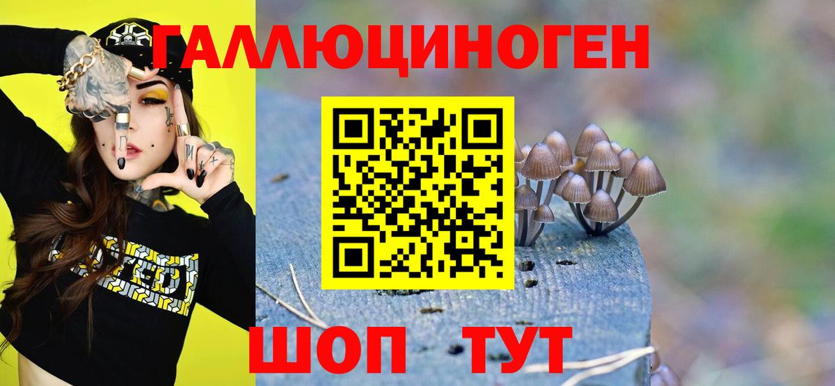 Галлюциногенные грибы Psilocybe  Вход с VPN  Стрежевой 