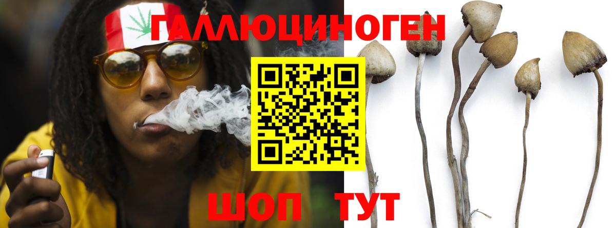 Галлюциногенные грибы Magic Shrooms Стрежевой